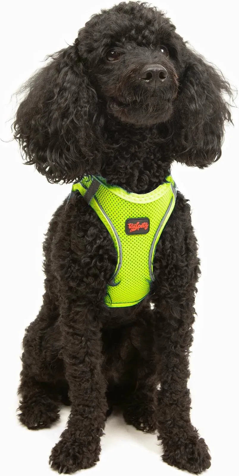 Parzmore për qen, Air-Mesh, ngjyrë Neo Lime - 1