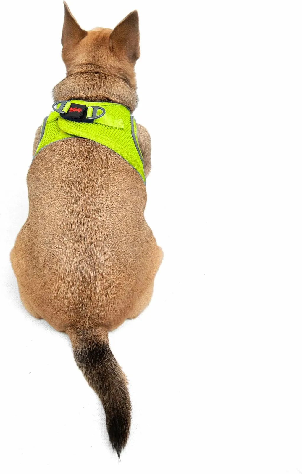 Parzmore për qen, Air-Mesh, ngjyrë Neo Lime - 2