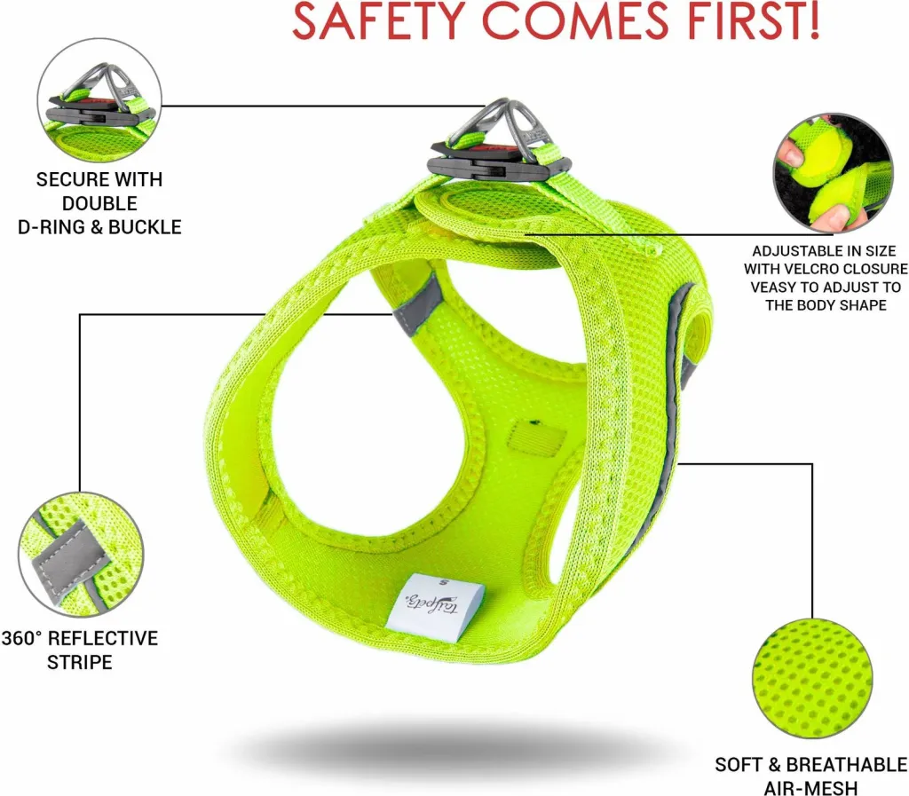 Parzmore për qen, Air-Mesh, ngjyrë Neo Lime - 12