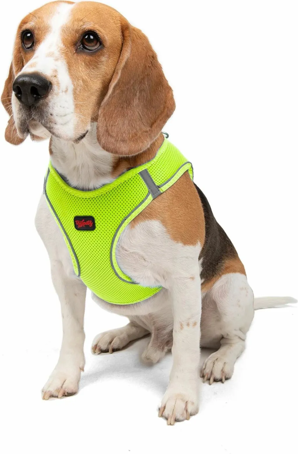 Parzmore për qen, Air-Mesh, ngjyrë Neo Lime - 3
