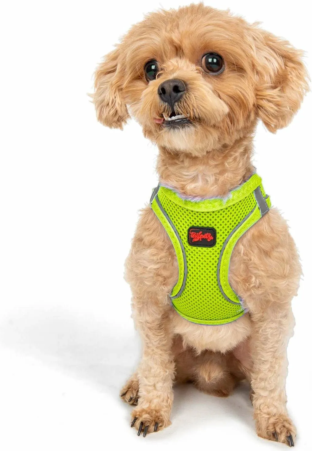 Parzmore për qen, Air-Mesh, ngjyrë Neo Lime - 4