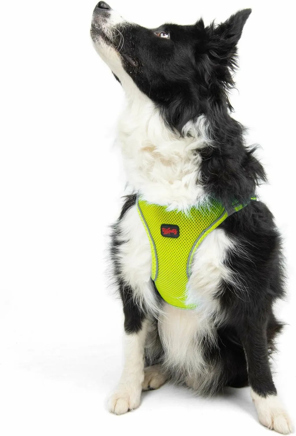 Parzmore për qen, Air-Mesh, ngjyrë Neo Lime - 5