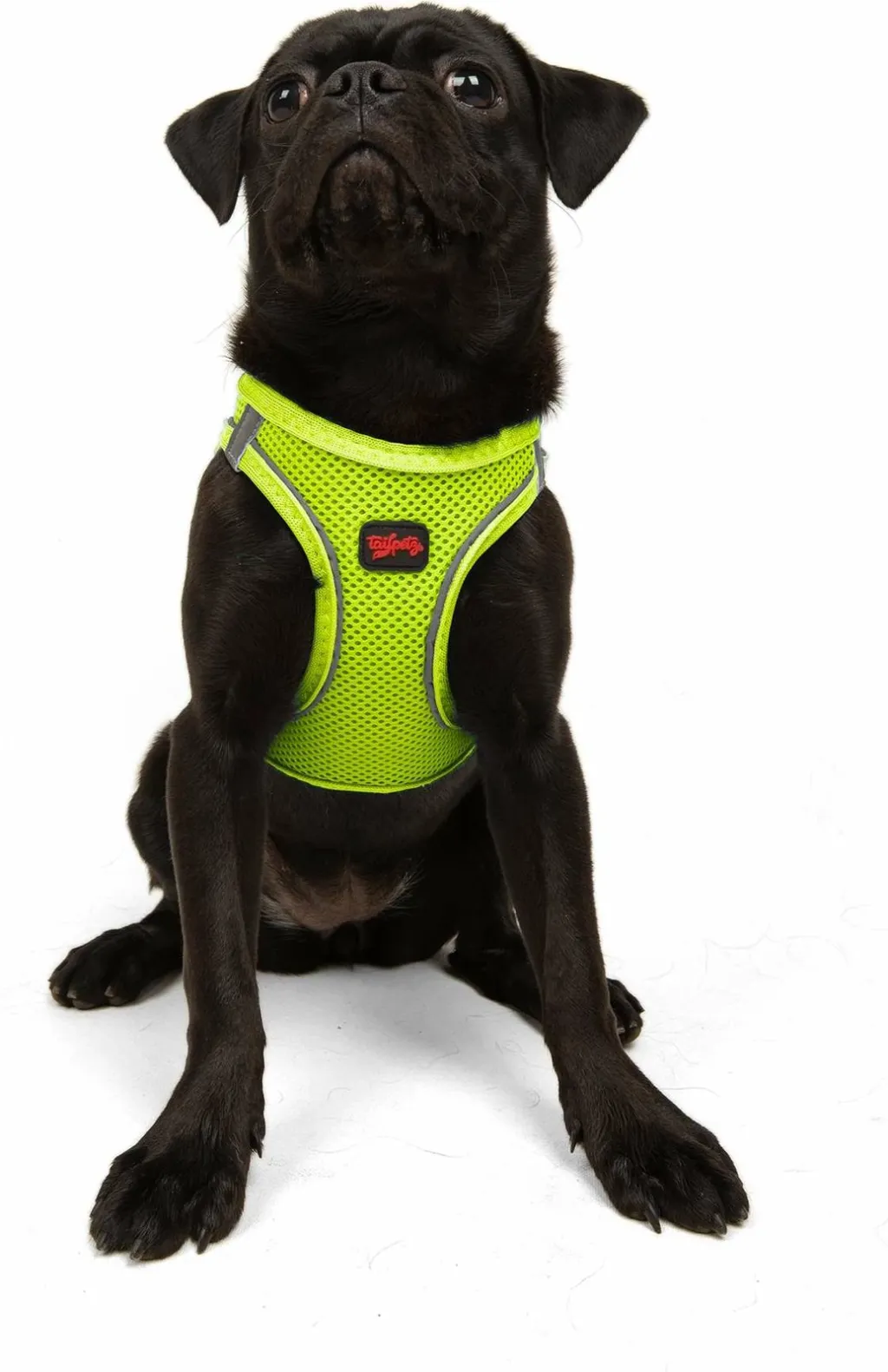 Parzmore për qen, Air-Mesh, ngjyrë Neo Lime - 6