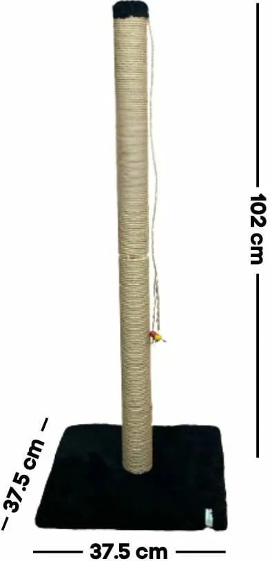 Pamja 2