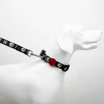 Litar për qen, Paws & Whiskers, Boo Medium, shumëngjyrësh