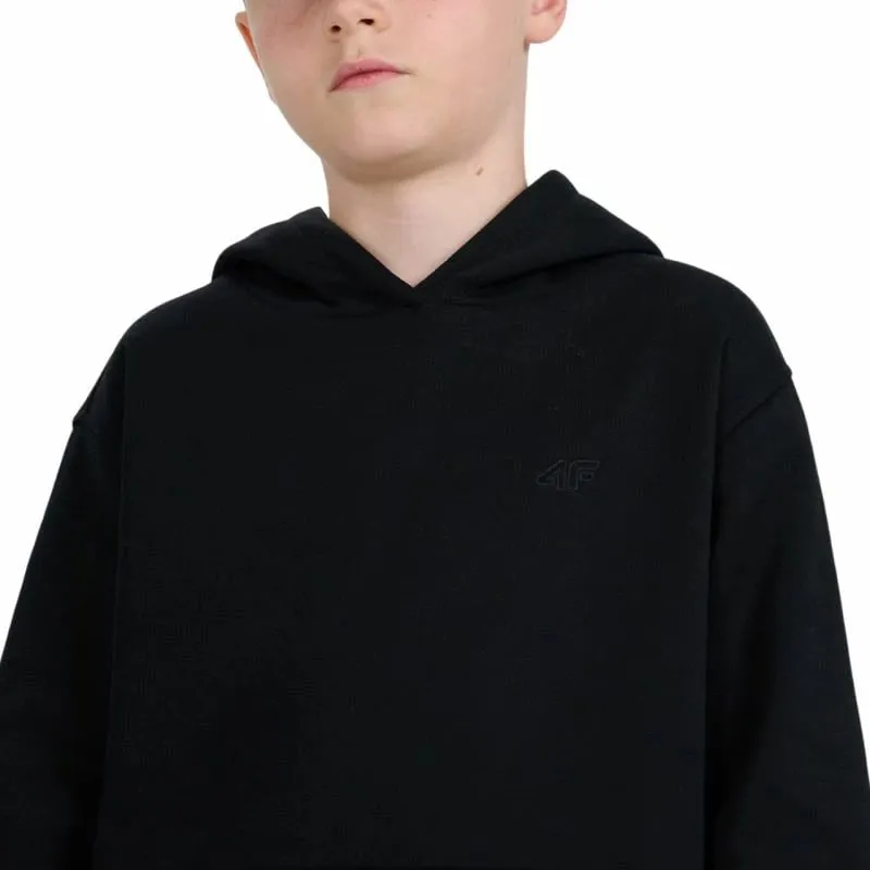 Pamja 4