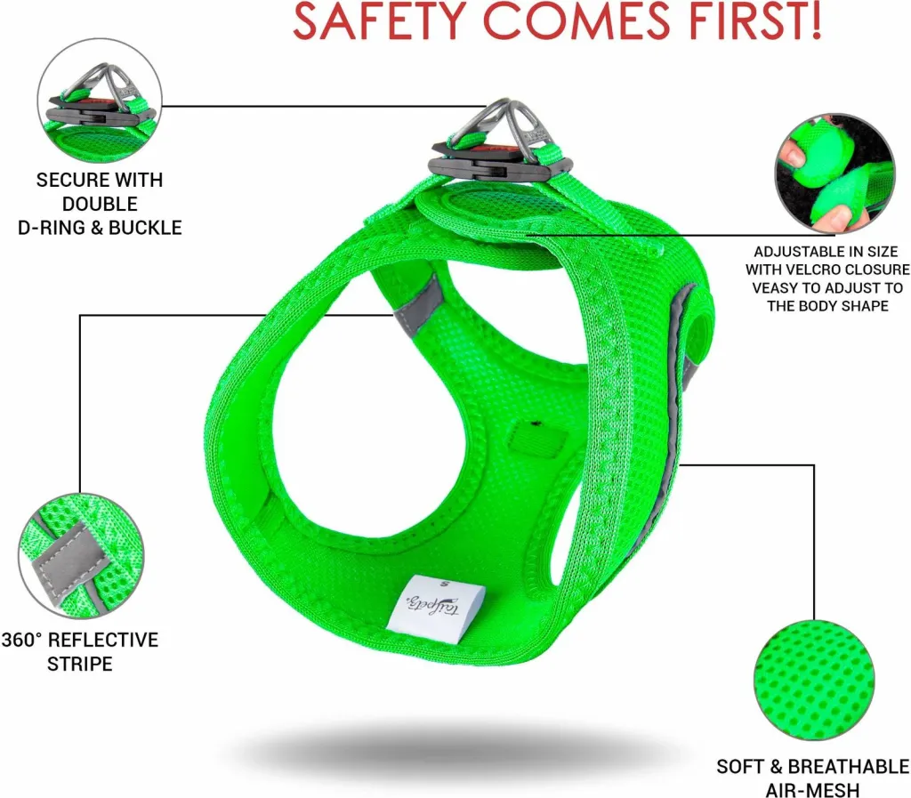 Parzmore për qen, Air-Mesh, ngjyrë Neo Green - 12