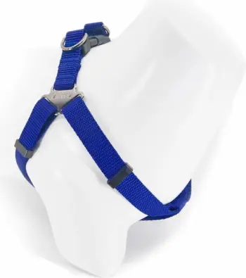 Parzmore për qen, ngjyrë sax blue, Paws & Whiskers, XS