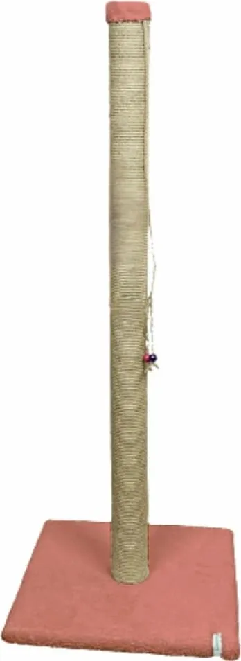 Pamja 1