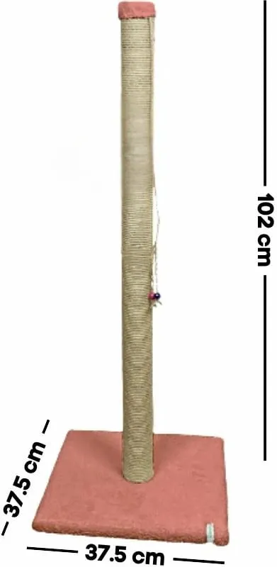 Pamja 2