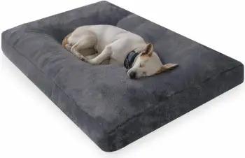 Shtrat për qen ose mace, Paws & Whiskers, Max Dog, 50x60 cm, anthracite