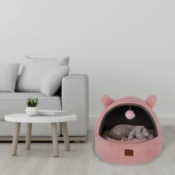 Shtrat për kafshë, Tom Cat, rozë