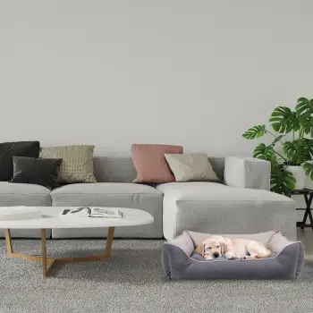 Shtrat për qen e mace Lucy, Paws & Whiskers, madhësia M, gri