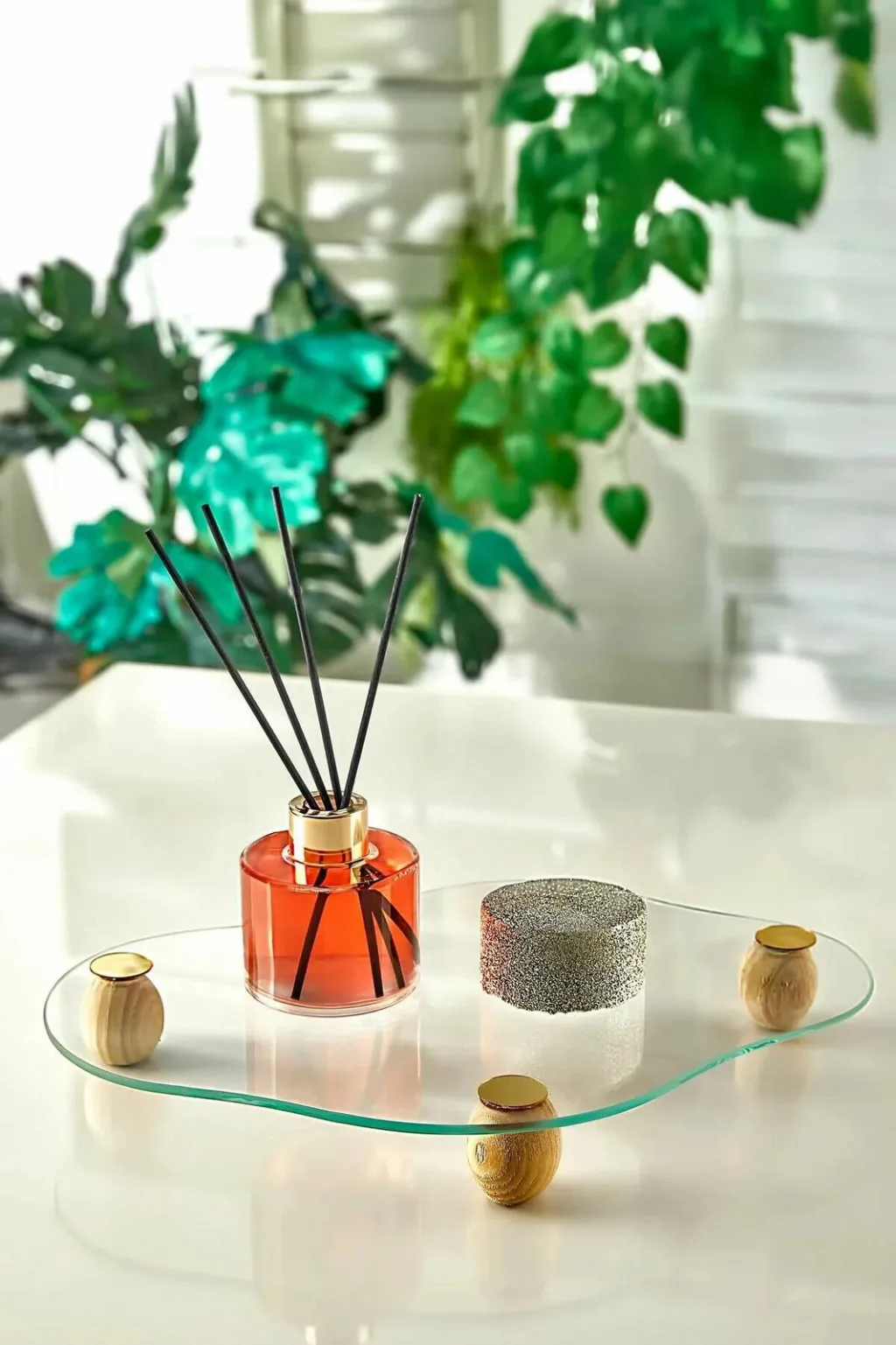 Tabaka xhami Hermia Concept, transparente, MCH10736, 32x23cm - 1