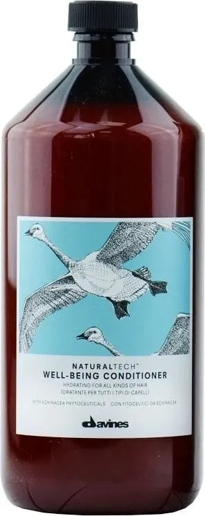 Kondicioner flokësh Davines Naturaltech Wellbeing Conditioner 1000ml - 1