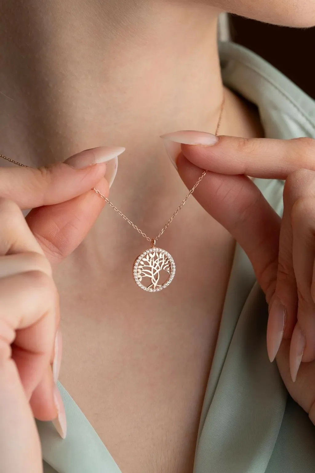 Pamja 6