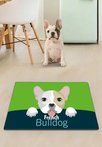 Tapet për rërë të maceve, Paws &amp; Whiskers, shumëngjyrësh, Mulish