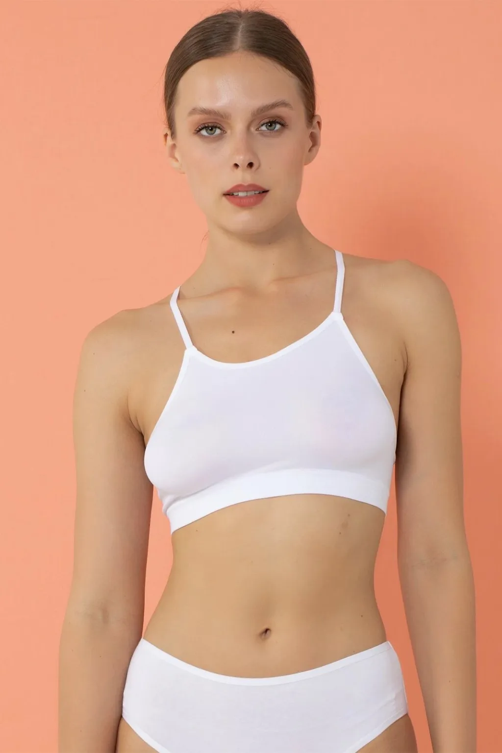 Pamja 6