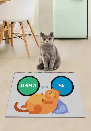 Tapet për rërë mace, Paws &amp; Whiskers, Obese, shumëngjyrësh