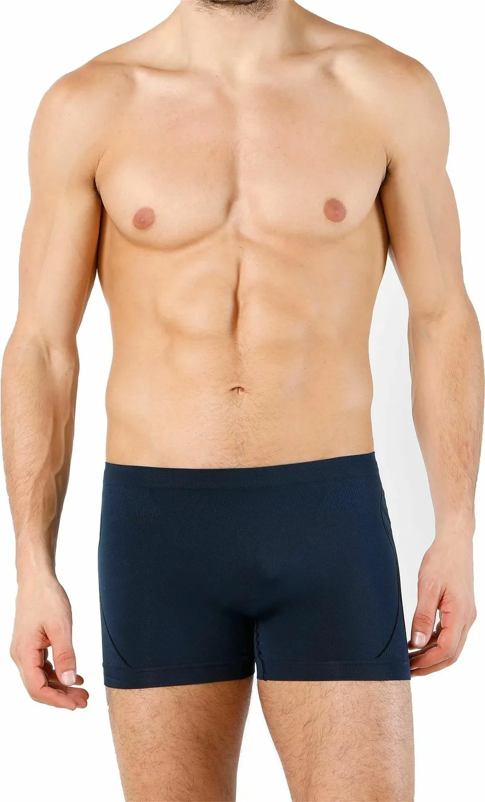 Pamja 1