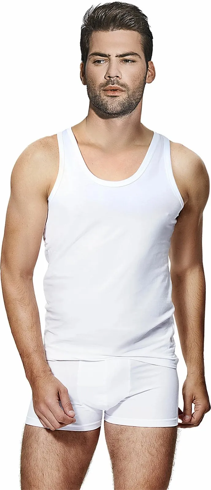 Pamja 2