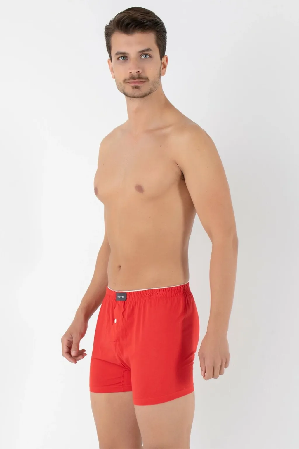 Pamja 3