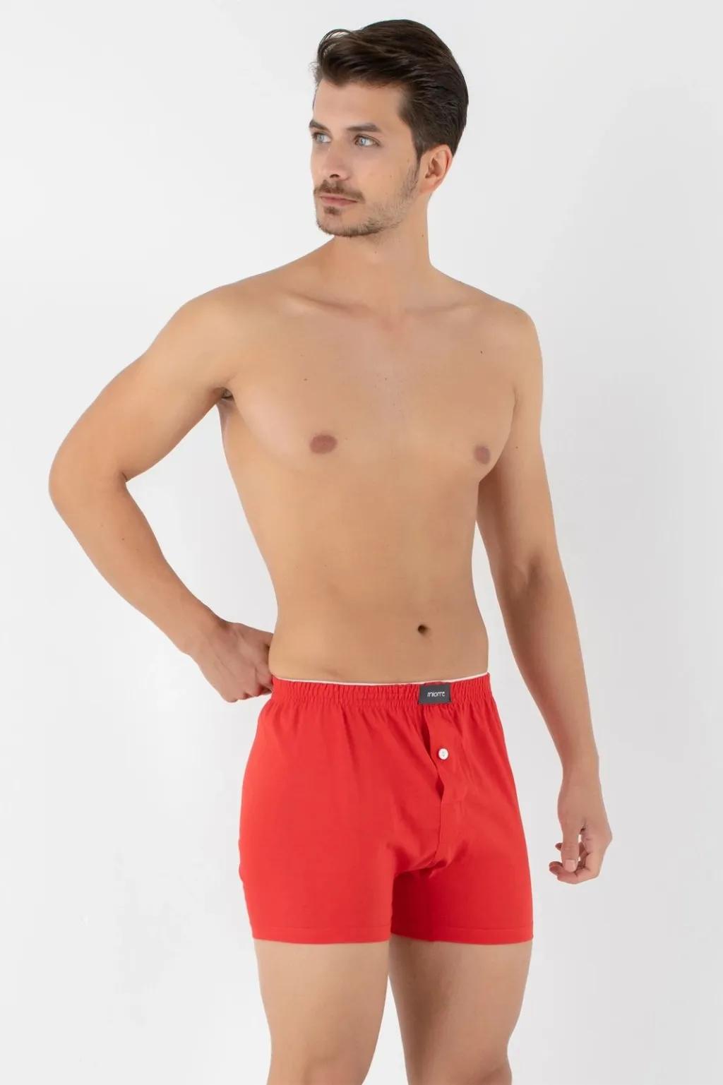 Pamja 7