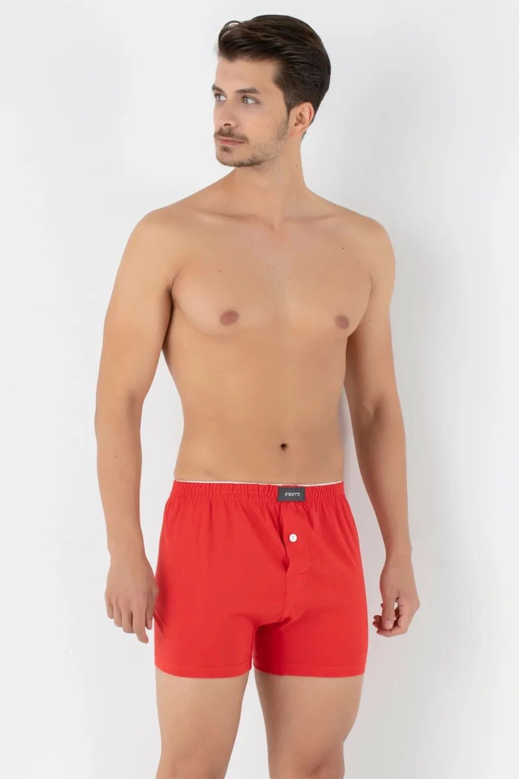 Pamja 8