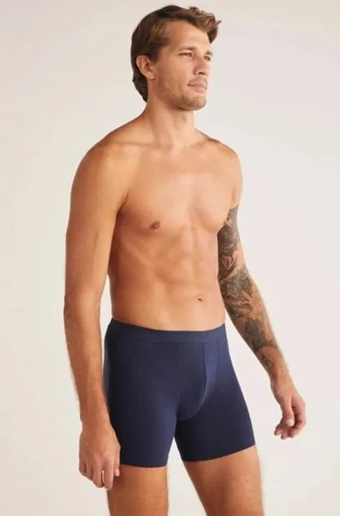 Pamja 1