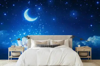Murale muri Wallity, MDK-00138, 300x270 cm