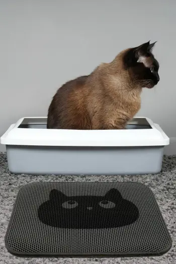 Tapet për rërë mace, Paws & Whiskers, tapet i thjeshtë për rërë mace