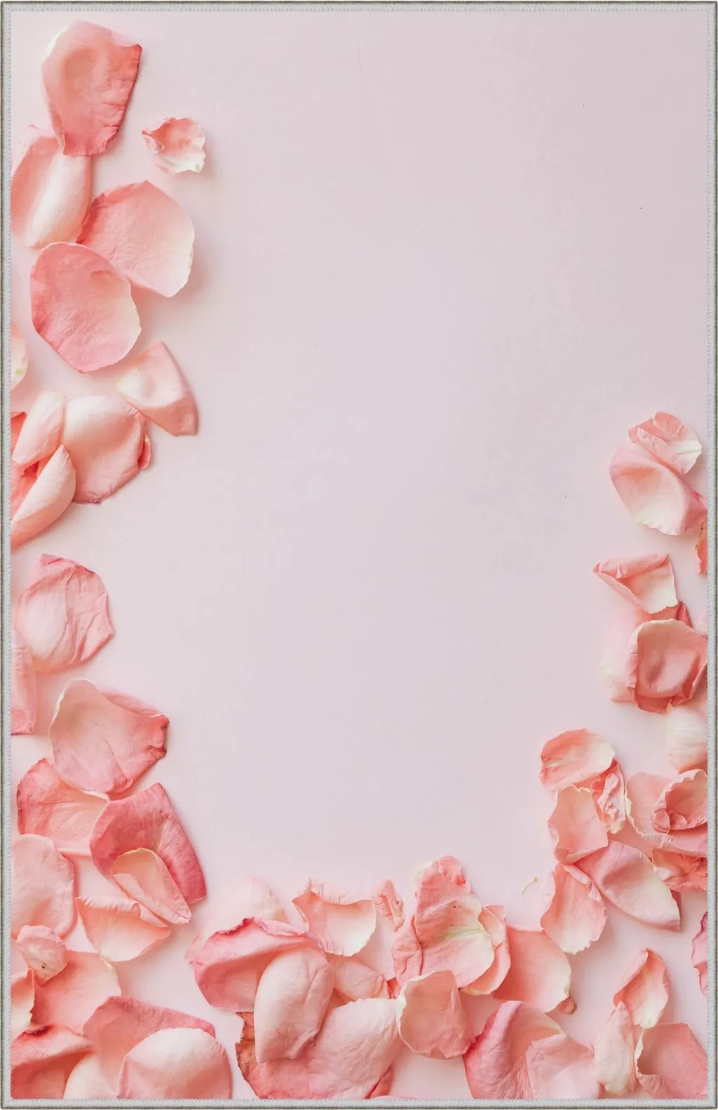 Pamja 6