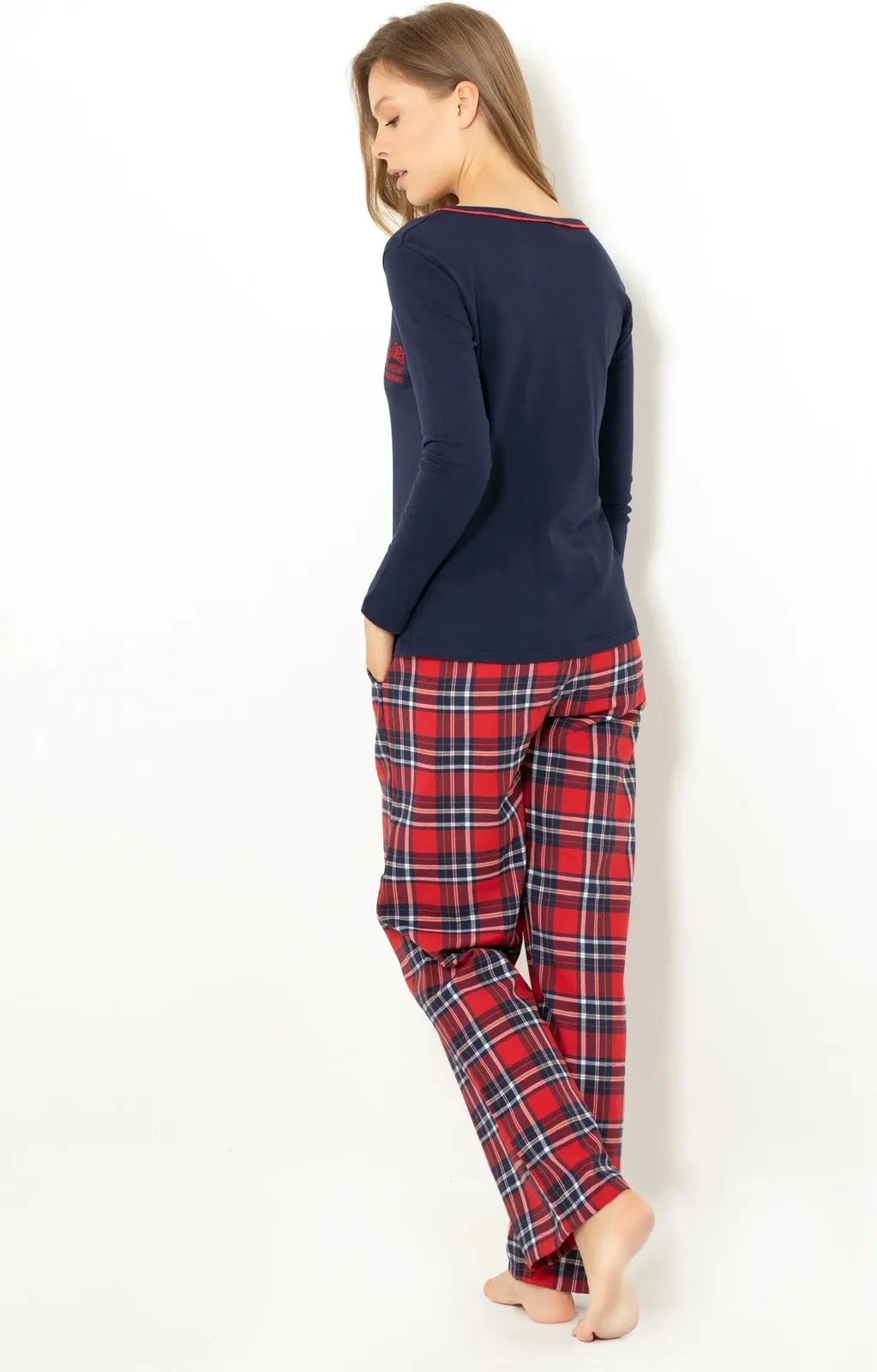 Pamja 4