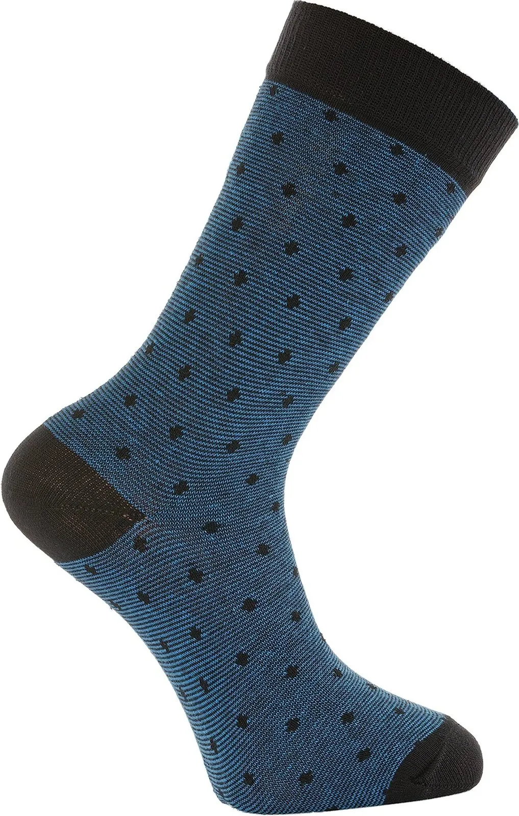 Pamja 6