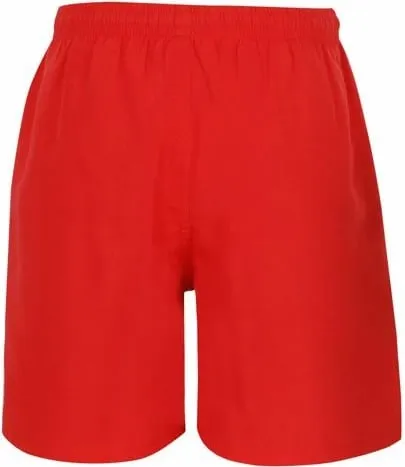 Pamja 3