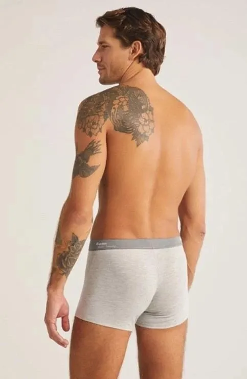 Pamja 2