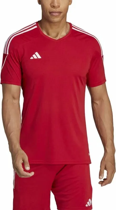 Pamja 6