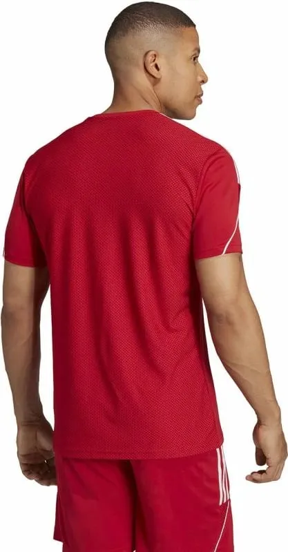 Pamja 8
