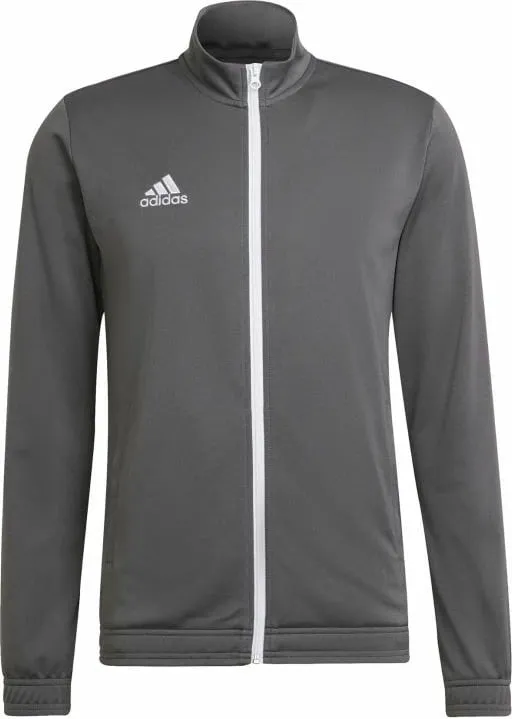 Duks adidas për meshkuj, gri - 1