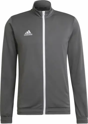 Duks adidas për meshkuj, gri