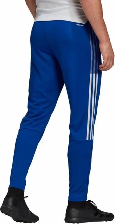Pamja 3