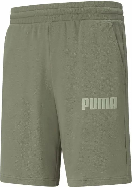 Pamja 1