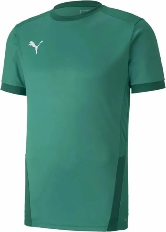 Fanellë për meshkuj Puma teamGOAL 23, e gjelbër - 1