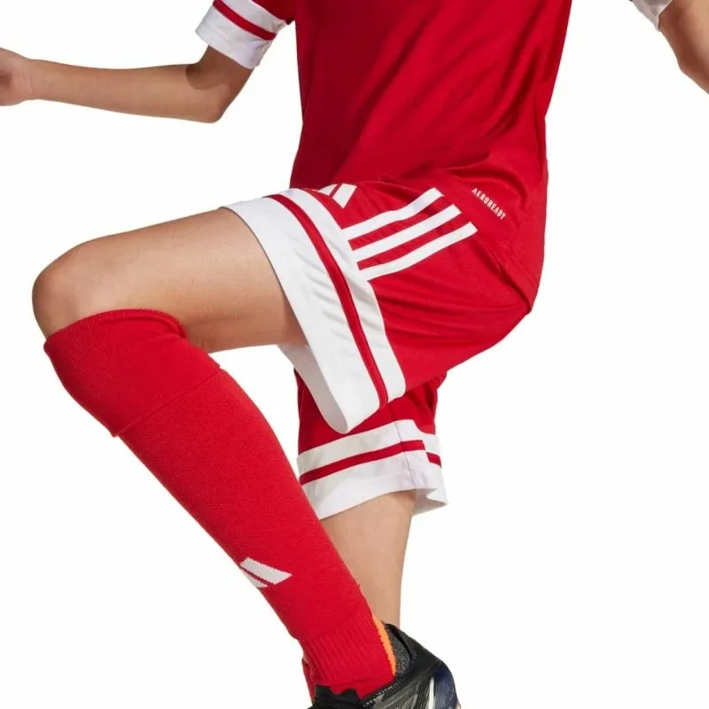 Pamja 4