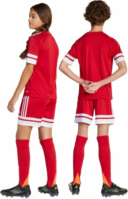 Pamja 7