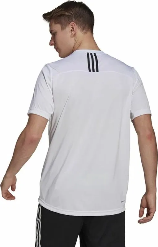 Pamja 4
