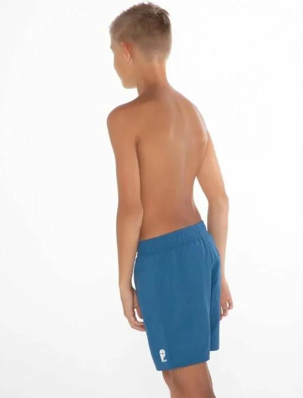 Pamja 4