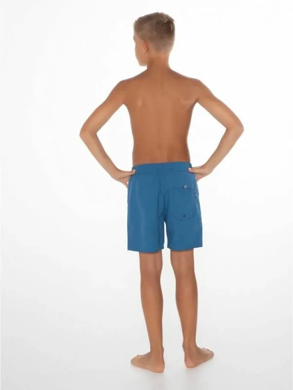 Pamja 6