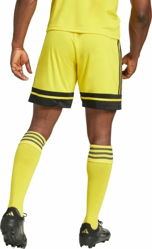 Pamja 2