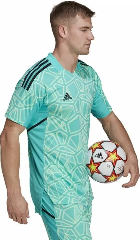 Pamja 3
